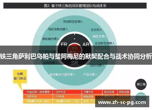 铁三角萨利巴乌帕与楚阿梅尼的默契配合与战术协同分析
