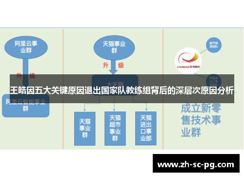 王皓因五大关键原因退出国家队教练组背后的深层次原因分析
