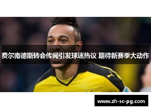 费尔南德斯转会传闻引发球迷热议 期待新赛季大动作