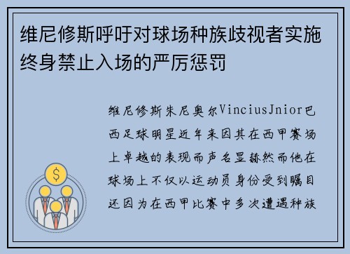 维尼修斯呼吁对球场种族歧视者实施终身禁止入场的严厉惩罚